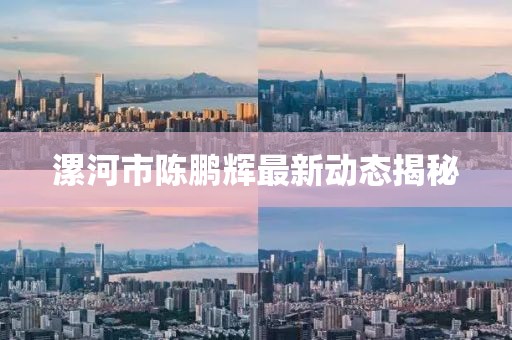 漯河市陳鵬輝最新動(dòng)態(tài)揭秘