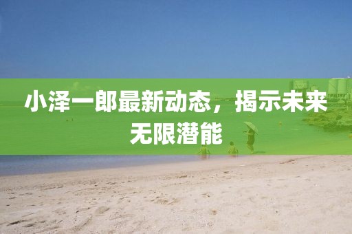 小澤一郎最新動態(tài)，揭示未來無限潛能