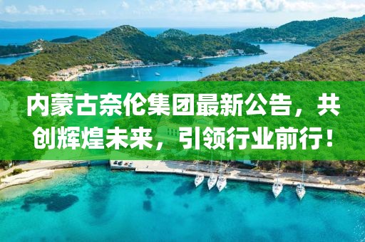 內(nèi)蒙古奈倫集團(tuán)最新公告，共創(chuàng)輝煌未來，引領(lǐng)行業(yè)前行！