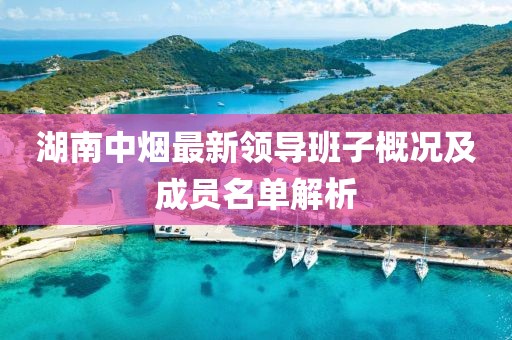 湖南中煙最新領(lǐng)導(dǎo)班子概況及成員名單解析