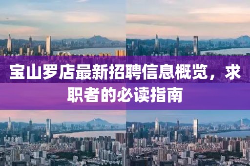 寶山羅店最新招聘信息概覽，求職者的必讀指南