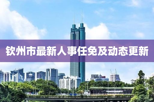 欽州市最新人事任免及動態(tài)更新