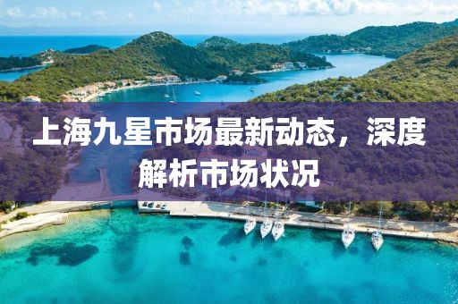 上海九星市場最新動(dòng)態(tài)，深度解析市場狀況