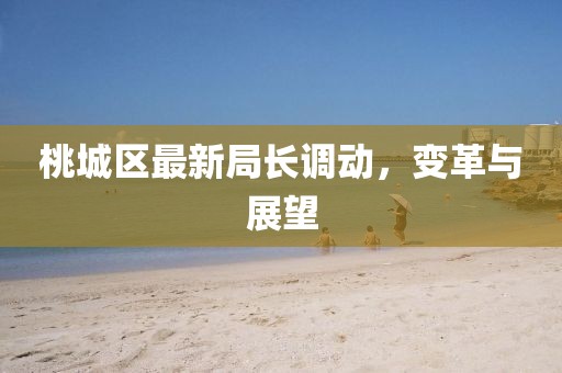 桃城區(qū)最新局長(zhǎng)調(diào)動(dòng)，變革與展望