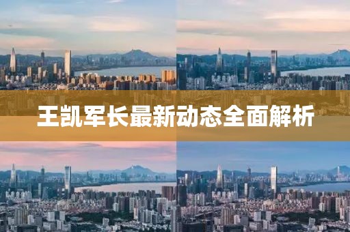 王凱軍長最新動(dòng)態(tài)全面解析