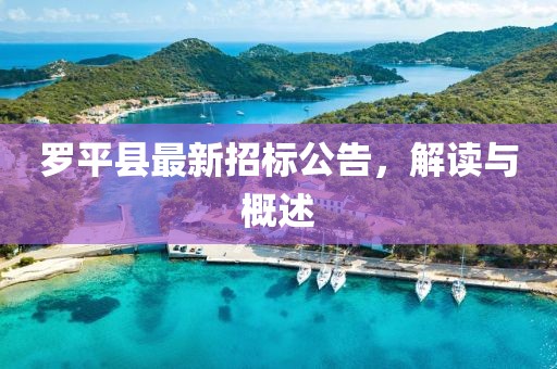 羅平縣最新招標公告，解讀與概述