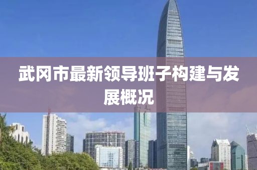 武岡市最新領(lǐng)導(dǎo)班子構(gòu)建與發(fā)展概況