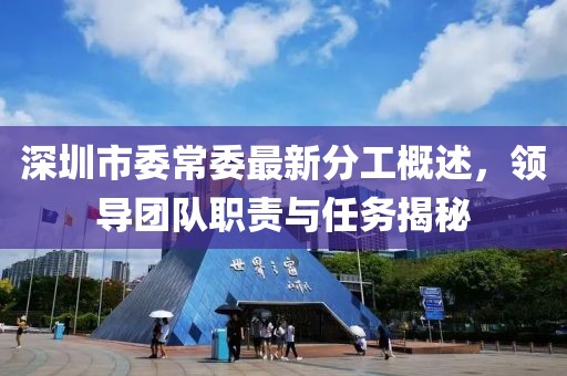 深圳市委常委最新分工概述，領(lǐng)導(dǎo)團隊職責(zé)與任務(wù)揭秘