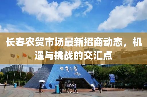 龍傲天 第3頁(yè)
