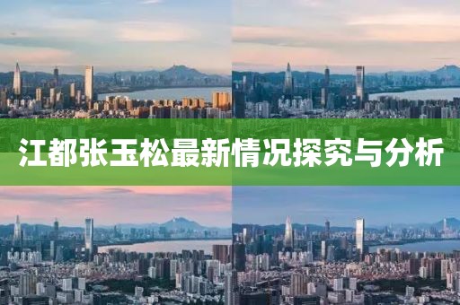 江都張玉松最新情況探究與分析