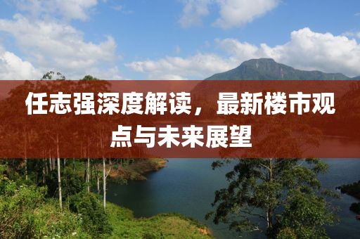 任志強深度解讀，最新樓市觀點與未來展望