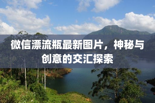 風(fēng)寒影 第3頁