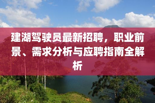 建湖駕駛員最新招聘，職業(yè)前景、需求分析與應(yīng)聘指南全解析