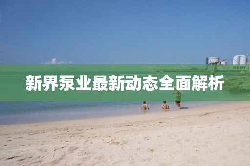 新界泵業(yè)最新動態(tài)全面解析