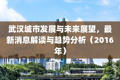 武漢城市發(fā)展與未來展望，最新消息解讀與趨勢分析（2016年）