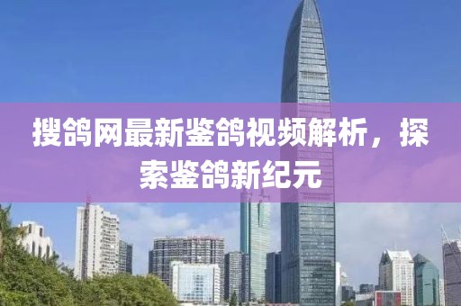 搜鴿網(wǎng)最新鑒鴿視頻解析，探索鑒鴿新紀(jì)元