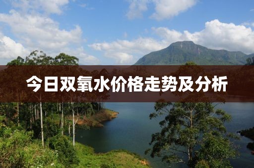 今日雙氧水價(jià)格走勢及分析