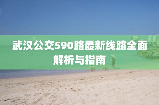 武漢公交590路最新線路全面解析與指南