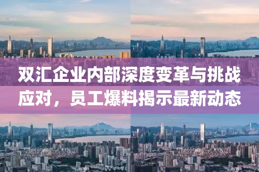 雙匯企業(yè)內(nèi)部深度變革與挑戰(zhàn)應(yīng)對，員工爆料揭示最新動態(tài)