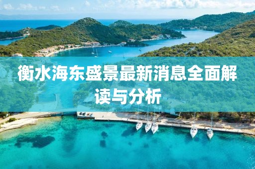 衡水海東盛景最新消息全面解讀與分析