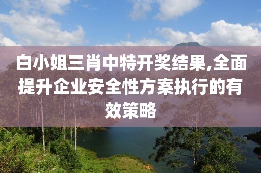 白小姐三肖中特開獎結(jié)果,全面提升企業(yè)安全性方案執(zhí)行的有效策略
