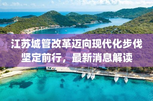江蘇城管改革邁向現(xiàn)代化步伐堅定前行，最新消息解讀