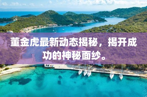 董金虎最新動(dòng)態(tài)揭秘，揭開成功的神秘面紗。