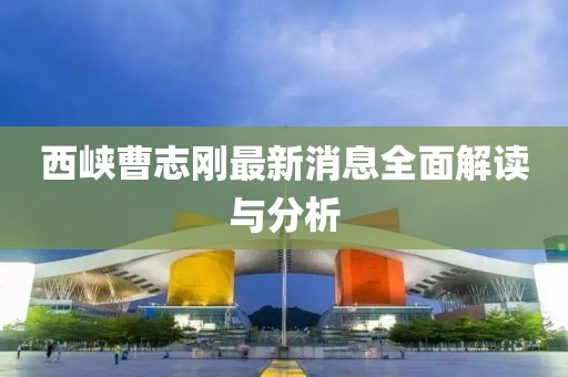 西峽曹志剛最新消息全面解讀與分析