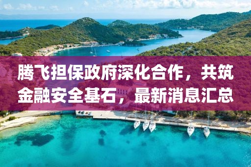 騰飛擔(dān)保政府深化合作，共筑金融安全基石，最新消息匯總