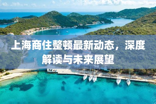 上海商住整頓最新動態(tài)，深度解讀與未來展望