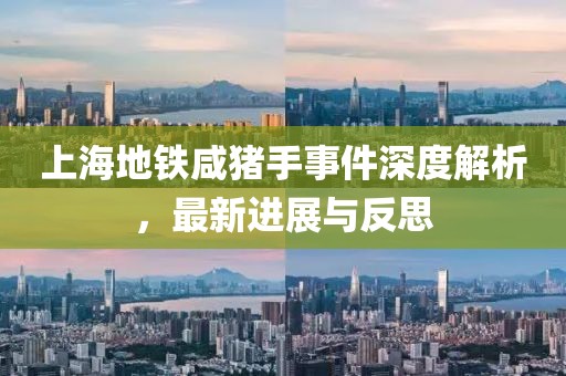 上海地鐵咸豬手事件深度解析，最新進展與反思