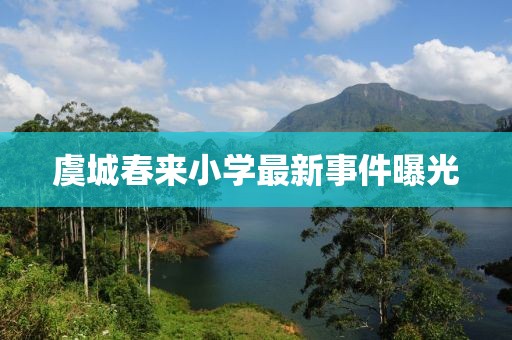 虞城春來小學(xué)最新事件曝光