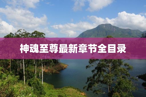 神魂至尊最新章節(jié)全目錄