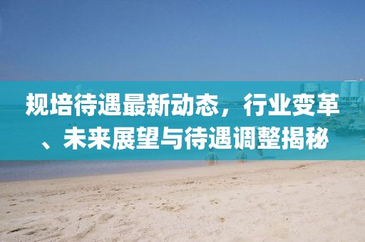 規(guī)培待遇最新動(dòng)態(tài)，行業(yè)變革、未來(lái)展望與待遇調(diào)整揭秘