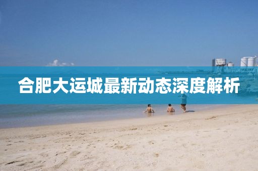 合肥大運城最新動態(tài)深度解析