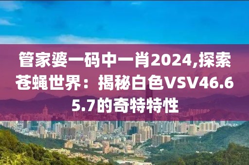 管家婆一碼中一肖2024,探索蒼蠅世界：揭秘白色VSV46.65.7的奇特特性