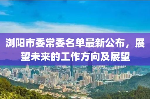 瀏陽市委常委名單最新公布，展望未來的工作方向及展望