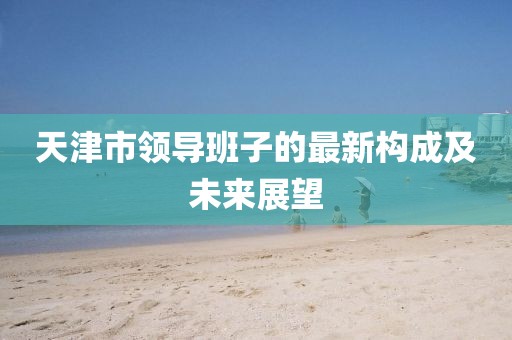 天津市領(lǐng)導(dǎo)班子的最新構(gòu)成及未來展望