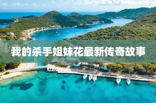 我的殺手姐妹花最新傳奇故事