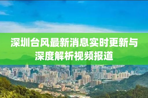 深圳臺風最新消息實時更新與深度解析視頻報道