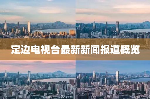 定邊電視臺(tái)最新新聞報(bào)道概覽