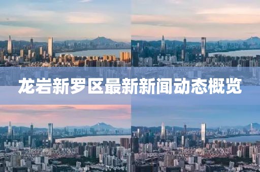 龍巖新羅區(qū)最新新聞動態(tài)概覽