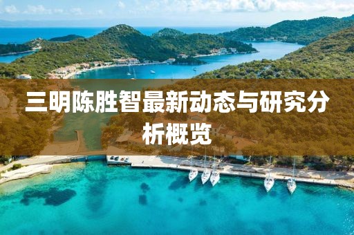三明陳勝智最新動態(tài)與研究分析概覽