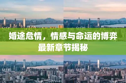 婚途危情，情感與命運的博弈最新章節(jié)揭秘