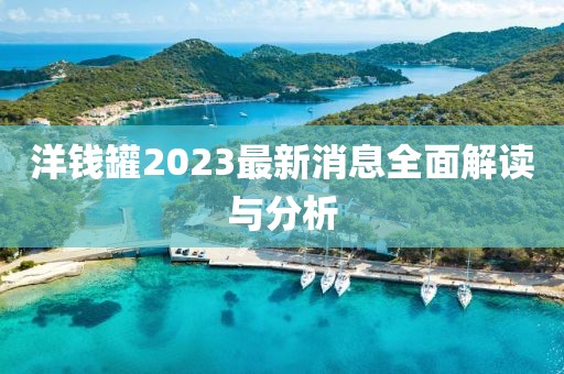 洋錢罐2023最新消息全面解讀與分析