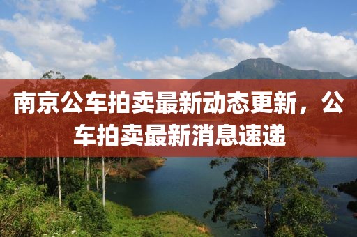 南京公車拍賣最新動態(tài)更新，公車拍賣最新消息速遞