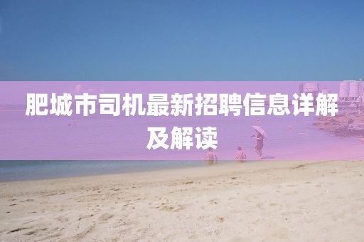 肥城市司機(jī)最新招聘信息詳解及解讀