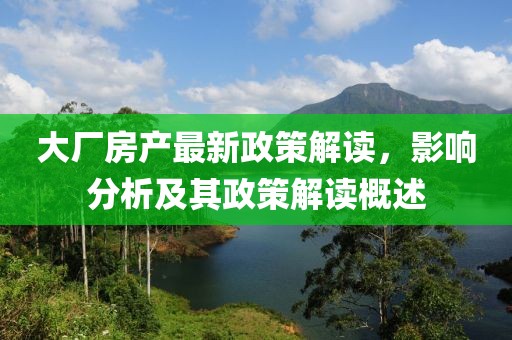 大廠房產(chǎn)最新政策解讀，影響分析及其政策解讀概述