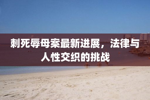 刺死辱母案最新進(jìn)展，法律與人性交織的挑戰(zhàn)