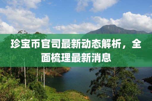 珍寶幣官司最新動態(tài)解析，全面梳理最新消息